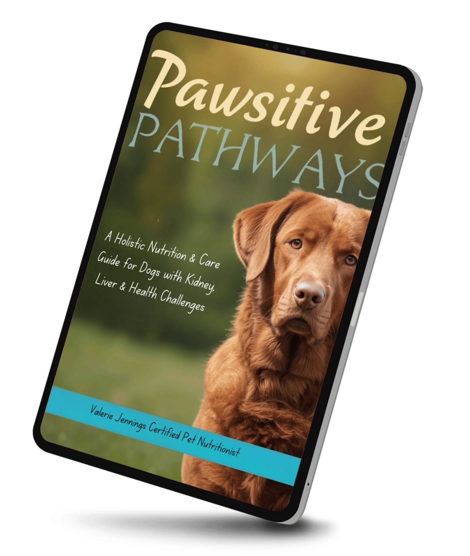 Pawsitive Pathways